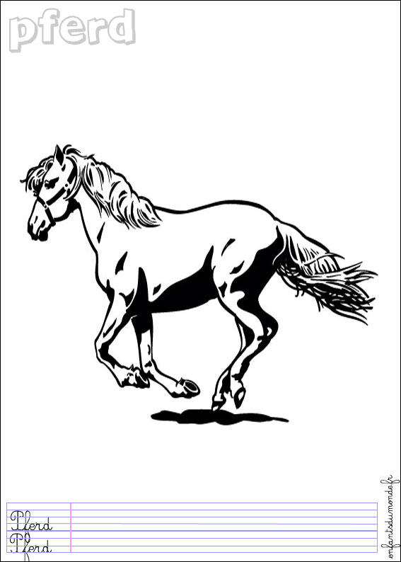 coloriage cheval 4